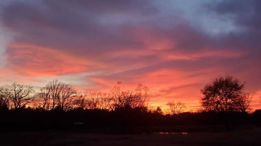 We have the best sunsets in East Texas at Roadrunner Acres!