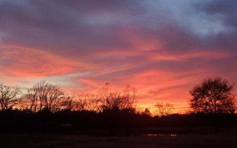 We have the best sunsets in East Texas at Roadrunner Acres!