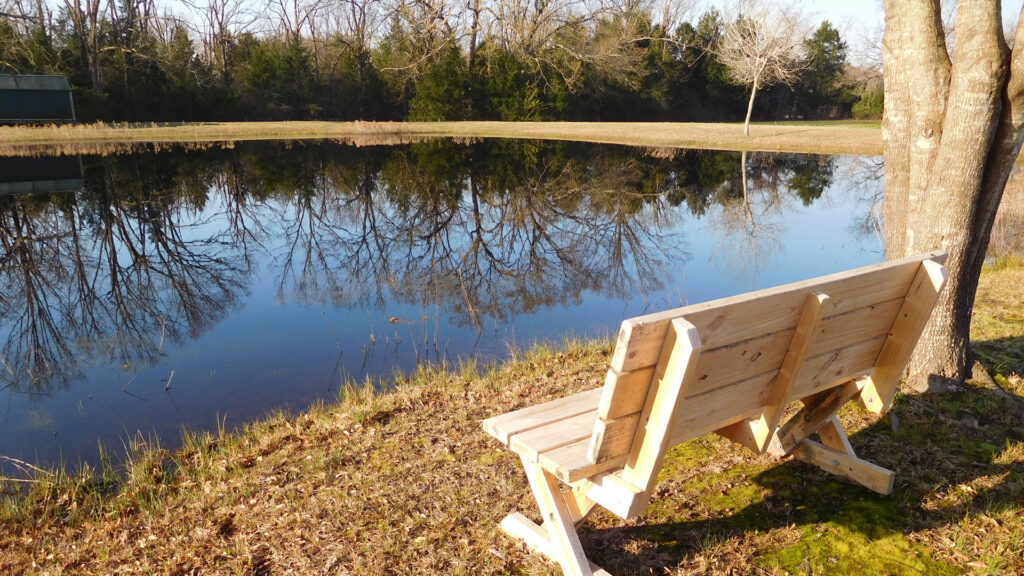 You'll love our catch-and-release fishing pond.