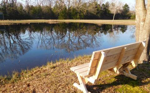 You'll love our catch-and-release fishing pond!